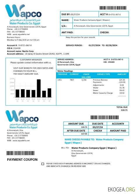 Modèle de facture de services publics d'entreprise Egypt Water Products Company Egypt Wapco